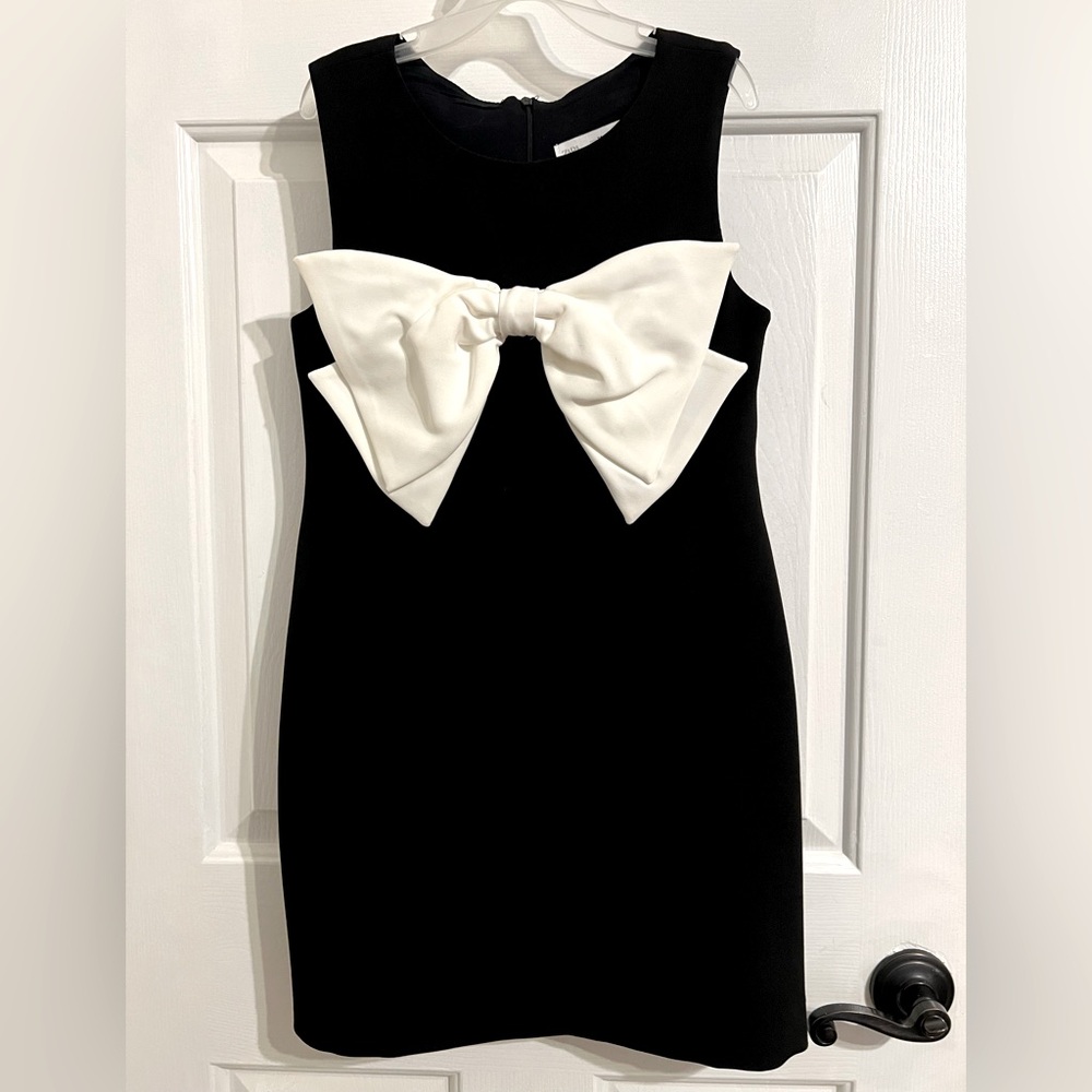 Zara Black and White Sheath Dress Sleeveless Crew Neck for Cocktail
